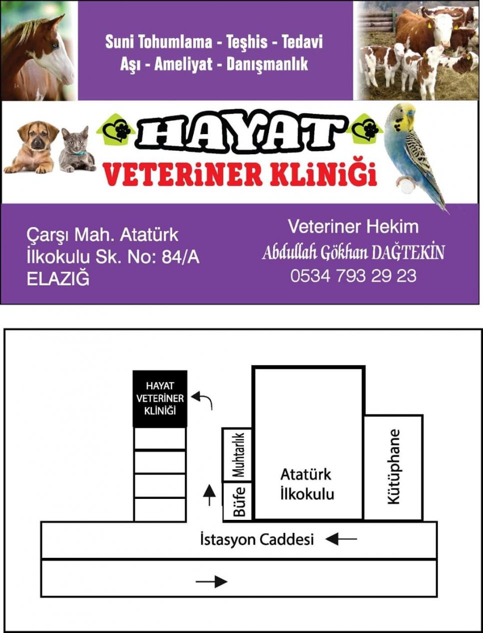 elazığda özel veteriner klinikleri, elazığda en iyi veterinerler, elazığda özel veterinerlik hizmetleri, elazığda evcil hayvan veterinerleri, elazığda kedi köpek tedavileri, elazığda hayvanlarda kırık operasyonları, elazığda hayvanlarda doğum ve sezeryan, elazığda hayvanlarda kısırlaştırma operasyonları, elazığda hayvanlarda teşhis ve tedavi, elazığda hayvanlarda fıtık ameliyatları, elazığda büyükbaş hayvanlarda tohumlama, elazığda tüm hayvanlarda aşılama hizmetleri, elazığda veteriner danışmanlık hizmetleri, elazığ geneli özel veteriner klinikleri, elazığ geneli en iyi veterinerler, elazığ geneli özel veterinerlik hizmetleri, elazığ geneli evcil hayvan veterinerleri, elazığ geneli kedi köpek tedavileri, elazığ geneli hayvanlarda kırık operasyonları, elazığ geneli hayvanlarda doğum ve sezeryan, elazığ geneli hayvanlarda kısırlaştırma operasyonları, elazığ geneli hayvanlarda teşhis ve tedavi, elazığ geneli hayvanlarda fıtık ameliyatları, elazığ geneli büyükbaş hayvanlarda tohumlama, elazığ geneli tüm hayvanlarda aşılama hizmetleri, elazığ geneli veteriner danışmanlık hizmetleri,