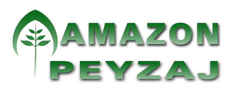 samsun tekkeköyde peysaj projeleri yapanlar, samsun tekkeköyde peyzaj ve mimarlığı yapanlar, samsun tekkeköyde bahçe aydınlatma ve malzemeleri, samsun tekkeköyde meyve aşılama işleri yapanlar, samsun tekkeköyde çatı bahçesi yapan peyzaj firması, samsun tekkeköyde kamelya ve süs havuzu yapan firmalar, samsun tekkeköyde site peyzaj işleri yapanlar, samsun tekkeköyde sert zemin uygulamaları yapanlar, samsun tekkeköyde bahçe bakımı ve çiçek dikimi yapan firmalar, samsun tekkeköyde süs bitkisi dikimi ve bahçe bakımı yapanlar, samsun tekkeköyde şeşale havuzu yapan firmalar, samsun tekkeköyde bitkisel tasarım yapan peyzaj firması,