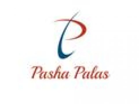 1500463461_Pasha_Palas_2016_03_12_pasha_logo.png