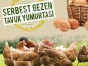 Antalyada Toptan Yumurta Satışı