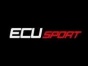 ECU SPORT CHİP TUNİNG Pendik Geneli Egr Onarım Servisi