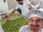 Mustafa Güloğlu Baklavaları Konyaaltı Genelinde  Künefe Ve Baklava Satışları