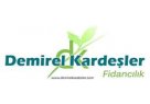 Demirel Kardeşler Fidancılık İzmir Ödemişte Fidan Yetiştiriciliği