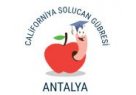 Antalyada Solucan Gübresi Satışı,ANTALYA CALİFORNİYA SOLUCAN GÜBRESİ