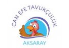 tavukculuk-aksarayda-toptan-ve-parakende-tavuk-urunleri