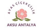 Antalya Aksuda Açılışlara Çelenk Yapan Firmalar