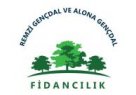 ALONA GENÇDAL FİDANCILIK Aydın Ve Çevresi Fidan Satışı Hizmetleri