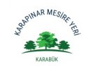 Eskipazar Kemikli Mevkii  KARAPINAR PARK