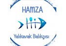 yalikavak-geneli-balik-restaurantlari-hamza-yalikavak-balikcisi