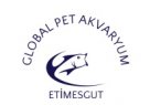 Ankara Geneli Akvaryum Balık Satışı - GLOBAL PET AKVARYUM