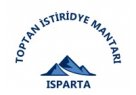 Isparta İstiridye Mantarı / Konya İstiridye mantarı / Kütahya İstiridye Mantarı