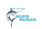 NİLÜFER BALIK RESTAURANT Nilüfer Geneli Aile Balık Lokantası