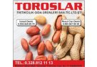 toroslar-fistikcilik-osmaniye-cevresinde-yer-fistigi-uretim-ve-satisi